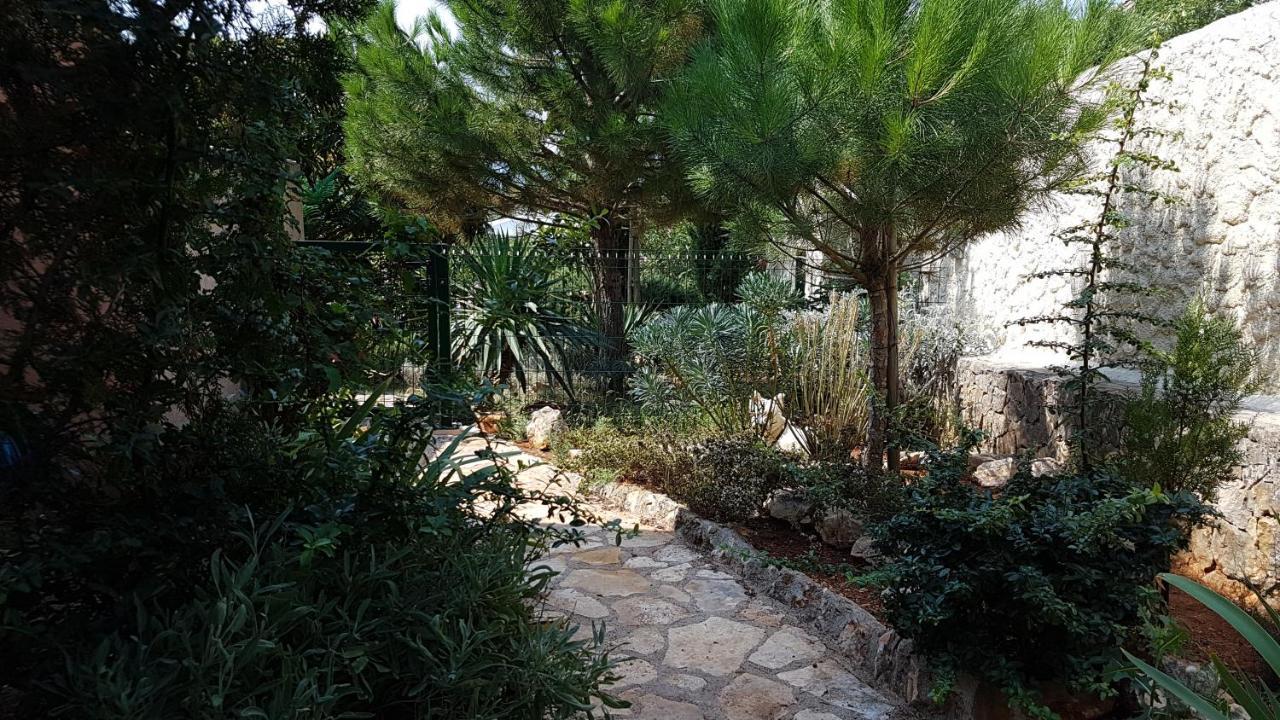 Apartments Villa Temer Pinezici  Bagian luar foto