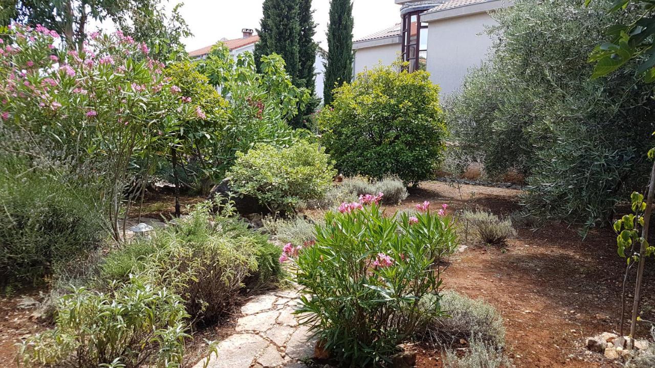 Apartments Villa Temer Pinezici  Bagian luar foto